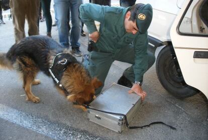Uno de los perros que utiliza la Guardia Civil para combatir el contrabando de tabaco y billetes en la frontera con Andorra.