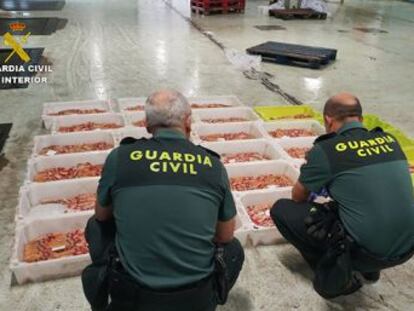 La Guardia Civil se incauta de 45 toneladas procedentes de una veda muy cuestionada por el sector, equivalente a todo lo que se permitía capturar en un año