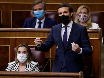 El líder del PP, Pablo Casado, interviene durante la sesión de control del Congreso este miércoles.