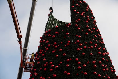 Obreros instalan el árbol de Navidad de la Puerta del Sol de Madrid que se iluminará la noche del 28 de noviembre.