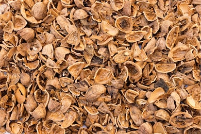 Cáscaras de nuez, uno de los residuos vegetales que se consideran biomasa. /ISTOCK