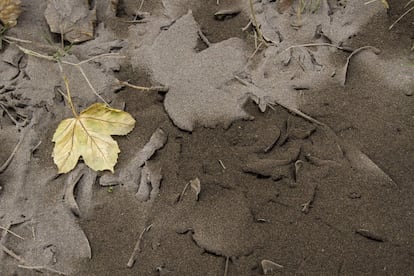 Las toneladas de ceniza expulsadas por el volcán chileno Calbuco han llegado a las calles de Villa La Angostura, al sur de Argentina. Las provincias más afectadas son Río Negro, Neuquén y Chubut, que se han declarado en alerta.