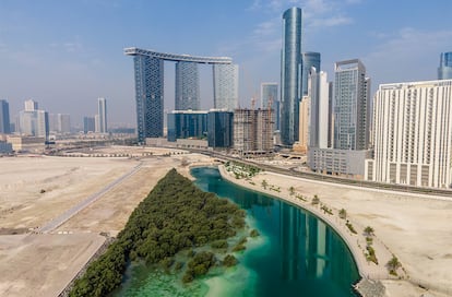 Una zona con manglares entre edificios en la ciudad de Abu Dabi, capital de los Emiratos Árabes Unidos.