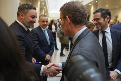 El líder del PP, Alberto Núñez Feijóo, y el de Vox, Santiago Abascal, al finalizar un pleno del Congreso en enero de 2024.