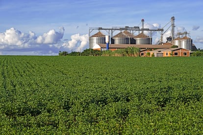 Negocio soja Paraguay