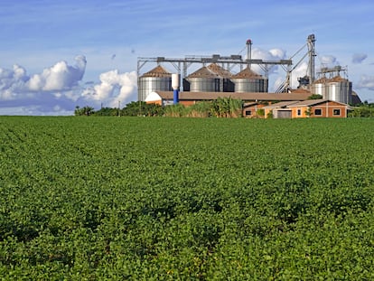 Finca con grandes silos para almacenar la soja cosechada, en Paraguay.