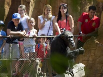 El zoológico Bioparc, en Fuengirola.