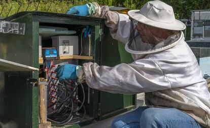 La trampa eléctrica de un apicultor gallego.