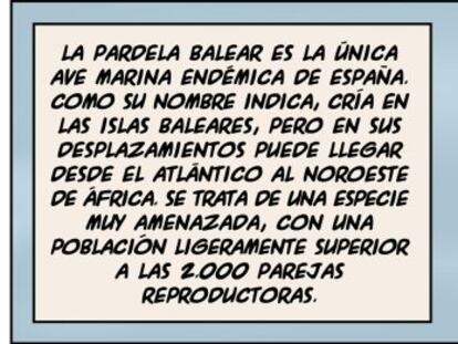 Ramón