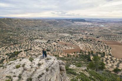 Desde el mirador de la localidad turolense de Alloza se observa un paisaje de cultivos de secano y olivares.