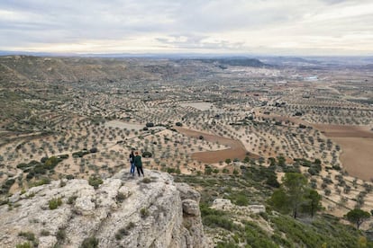 Desde el mirador de la localidad turolense de Alloza se observa un paisaje de cultivos de secano y olivares.