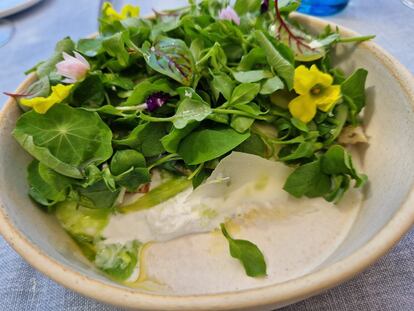 Van imparables. Primero soñaron con convertir a su pueblo, Casas Ibáñez (Albacete), en un destino gastronómico. Lo consiguieron el año pasado, cuando recibieron en Madrid Fusión el espaldarazo que necesitaban: el premio al cocinero revelación del año por su trabajo en Cañitas Maite, el de la mejor croqueta y el del mejor escabeche.