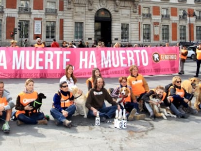 Voluntarios de El Refugio celebrando el viernes la decisi&oacute;n de la Asamblea de Madrid. 