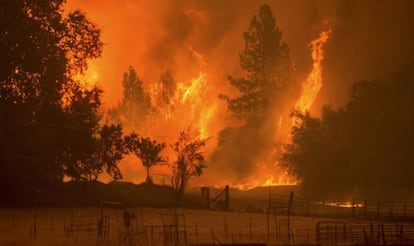 California declar&oacute; el estado de emergencia por los incendios del pasado septiembre.
 