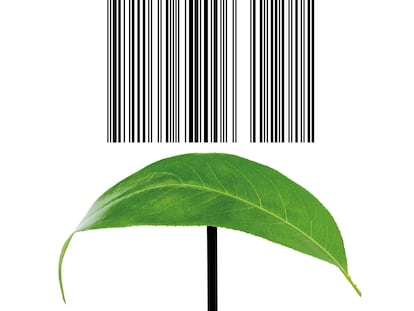 COP29 y créditos de carbono: ¿solución climática o ecopostureo?