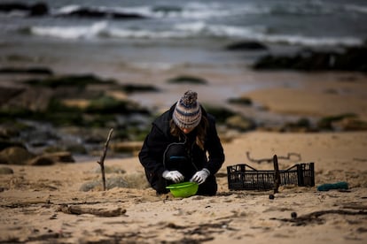 Voluntarios y trabajadores trabajan en la limpieza de pellets en la playa de O Dique, en Porto do Son/ ÓSCAR CORRAL (EL PAÍS).