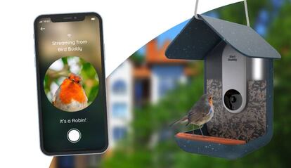 Comedero inteligente para pájaros, Bird Buddy.