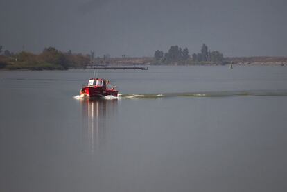 El río Guadalquivir, a su paso por Coria del Río (Sevilla).