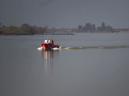 El río Guadalquivir, a su paso por Coria del Río (Sevilla).