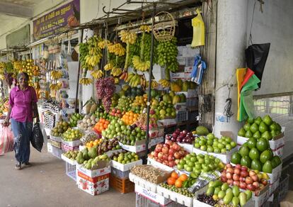 Kandy es una de las ciudades más grandes de Sri Lanka (pero tampoco demasiado: tiene unos 125.000 habitantes) y un centro neurálgico para el turismo, los negocios y las plantaciones de té. Y también un lugar ideal para descubrir la gastronomía de Sri Lanka, pues mezcla locales de corte familiar donde se hace exquisita cocina casera con otros de corte más occidental donde probar cocina de la zona en un ambiente más cuidado. Todo según los gustos de cada cual. La mayoría de la comida tiene aires indios, pero también hay influencias chinos y tailandeses (no te pierdas sus noodles) y, por supuesto, marisco y pescado fresco, que para eso estamos en una isla.  