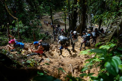 Migrantes caminan en la selva del Darién entre Colombia y Panamá, en abril de 2023.