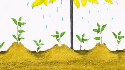 Y juntos plantamos un montón de semillas junto al árbol.