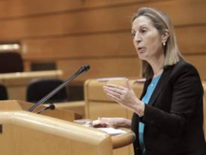 La ministra de Fomento, Ana Pastor, durante su intervención en el pleno del Senado celebrado esta tarde en la Cámara Alta.