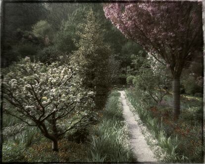 Cerezos y manzanos en flor separados por un sendero 
entre Le Clos Normand y el Estanque Japonés, las dos partes en las que se divide el jardín. 