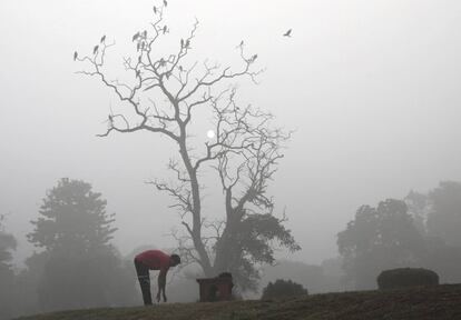 Frente a la emergencia, todas las escuelas de Nueva Delhi cerraron sus puertas hasta el domingo para proteger a los niños. En la foto, un hombre hace ejercicio en la mañana temprano en el jardín Lodhi de Nueva Delhi (India).