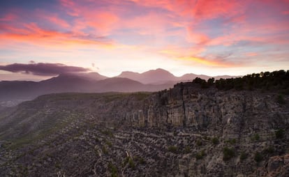 El avistamiento de aves autóctonas y la fotografía de naturaleza son dos de los grandes atractivos de esta zona protegida.