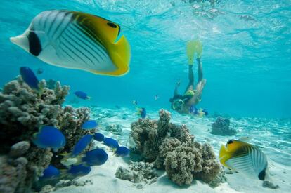 Buceo en Baleares.