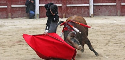 El novillero &Aacute;lvaro Lorenzo durante la lidia al &uacute;ltimo astado del festival taurino del Carnaval del Toro de Ciudad Rodrigo. 