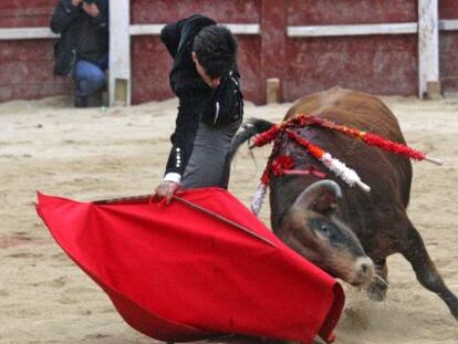 El novillero &Aacute;lvaro Lorenzo durante la lidia al &uacute;ltimo astado del festival taurino del Carnaval del Toro de Ciudad Rodrigo. 