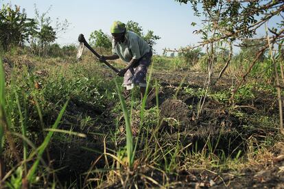 Una mujer trabaja el campo en Malawi, donde Naciones Unidas ha conseguido enviar un carguero con 20.000 toneladas de fertilizante ruso, en una foto de archivo.