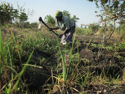 Una mujer trabaja el campo en Malawi, donde Naciones Unidas ha conseguido enviar un carguero con 20.000 toneladas de fertilizante ruso, en una foto de archivo.