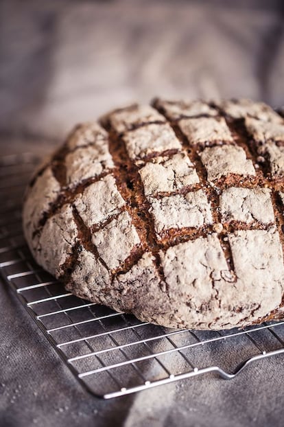 <p><b>Ingredientes</b></p><p> Semillas: 50 gramos de lentejas, cerveza (para cocerlas durante 30-40 minutos), 100 gramos de mezcla de semillas (sésamo, lino, girasol, calabaza…), 100 gramos de agua fría para ponerlas a remojo. Fermento* (si se tiene, sustituirlo por 250 gramos de masa madre de centeno): 125 gramos de harina integral de centeno, 125 gramos de agua, 0,2 gramos de levadura de panadero (equivale a una lenteja). Masa final: todo el fermento, 100 gramos de harina de trigo integral, 250 gramos de harina de fuerza, 150 gramos de agua, 7,5 gramos de miel, 3-6 gramos de levadura fresca, 12 gramos de sal. </p><p><b> Preparación</b></p><p> 1. La noche anterior, preparar el fermento y las semillas. Para el primero, disolver la levadura (un trocito del tamaño de una lenteja) en agua y añadir la harina de centeno hasta lograr una pasta. 2. Dejar tapada a temperatura ambiente hasta el día siguiente. En una sartén, tostar las semillas a fuego medio. Después, ponerlas en un bol con la misma cantidad de agua fría que su propio peso. 3. Mientras, cocer las lentejas en cerveza (bastarán un par de latas o botellines) unos 35-40 minutos y escurrir. 4. Al día siguiente, mezclar todos los ingredientes, menos las semillas y las lentejas, hasta obtener una masa firme y manejable. Amasar durante 5 o 10 minutos hasta que no se pegue a la mesa. 5. Para incorporar las semillas y lentejas, estirar la masa formando un cuadrado en una capa uniforme y cortar por la mitad en dos trozos idénticos. Poner un trozo de masa, espolvorear algunas semillas y luego otro trozo de pasta. Presionar para que se peguen. Volver a cortar y a repetir la operación, alternando capas de masa y semillas como si se tratara de una lasaña para ir integrando los ingredientes de forma sencilla. 6. Dejar fermentar durante al menos una hora, hasta que crezca casi el doble de su volumen inicial. Pasado ese tiempo, formar una hogaza redonda o un cilindro de masa bien apretado que se pondrá en un molde rectangular de bizcocho de unos 25-30 centímetros. 7. Fermentar otra hora, hasta que haya ganado bastante volumen y empiece a agrietarse. Antes de hornear, darle unos cortes decorativos y cocer –con mucho vapor al principio– en el horno a 250 grados durante los primeros 10 minutos, y luego a 200 grados durante otros 40 o 45 minutos. 8. Desmoldar y dejar enfriar bien. Está más rico pasadas unas horas; mejor incluso al día siguiente. </p>
