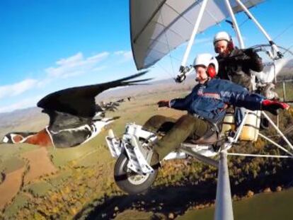 Un vídeo muestra al piloto francés Christian Moullec en pleno ejercicio