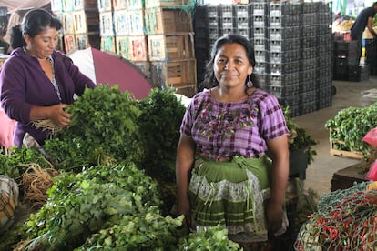 América Branded competencia