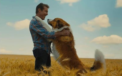 Dennis Quaid, en 'Tu mejor amigo: un nuevo viaje'.