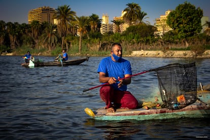 Recogida de plástico en Egipto.