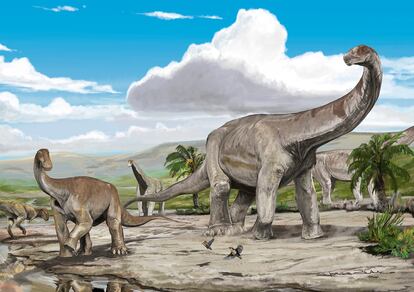 Estas dos especies -Punatitan y Bravasaurus- habrían convivido en el mismo ambiente hace 70 millones de años en el noroeste de lo que hoy es Argentina.