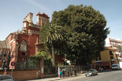 Estado original del ficus en una imagen incluida en el informe de la parroquia de San Jacinto.