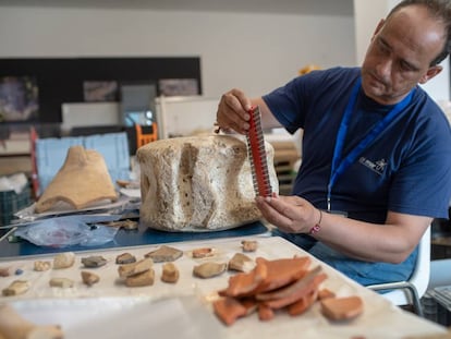 Archeologist Darío Bernal examines the vertebra of a whale found in the Baello Claudia archeological dig in Bolonia, Cádiz.