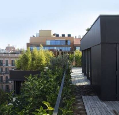 Cubierta ajardinada de la Sede de La Casa por el Tejado en el Ensanche de Barcelona realizada por La Casa por el Tejado.