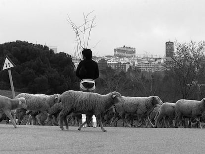 El borregueo de los que viralizan la intimidad ajena convierte a la mujer en víctima.