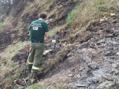 Agentes de la Brigada de Investigación de Incendios Forestales, en Moguer.