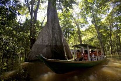 Navegando por el río Amazonas, cerca de Manaos, en Brasil.