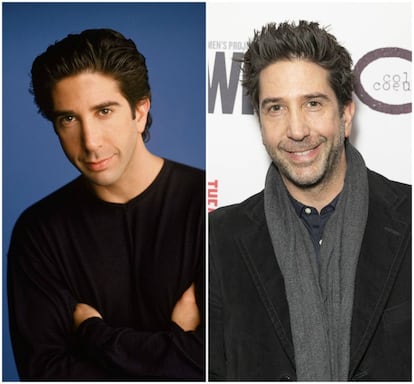 No começo, David Schwimmer, de 52 anos, não queria participar de "Friends", até gravar o episódio piloto. Os criadores conseguiram convencer Schwimmer a interpretar Ross Geller (e a série não ficou só em um simples piloto como ele temia). No entanto, a fama não lhe fez bem: “Fez com que quisesse me esconder embaixo de um boné de beisebol e não ser visto”. Depois da série decidiu assumir também o papel de diretor. Schwimmer se declarou feminista e colabora com uma fundação após saber que duas de suas namoradas sofreram abusos sexuais.