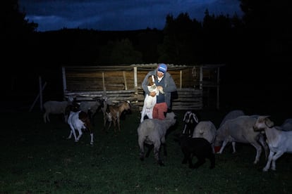 Carlos Rincón revisa a una de sus cabras, en su finca en la vereda Cupatá.