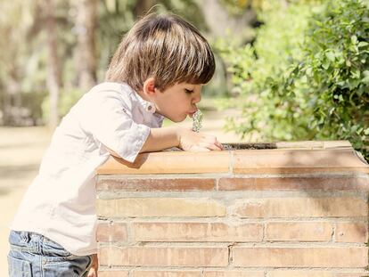 ¿Cuánta agua debe beber tu hijo al día? Dos litros no es la respuesta